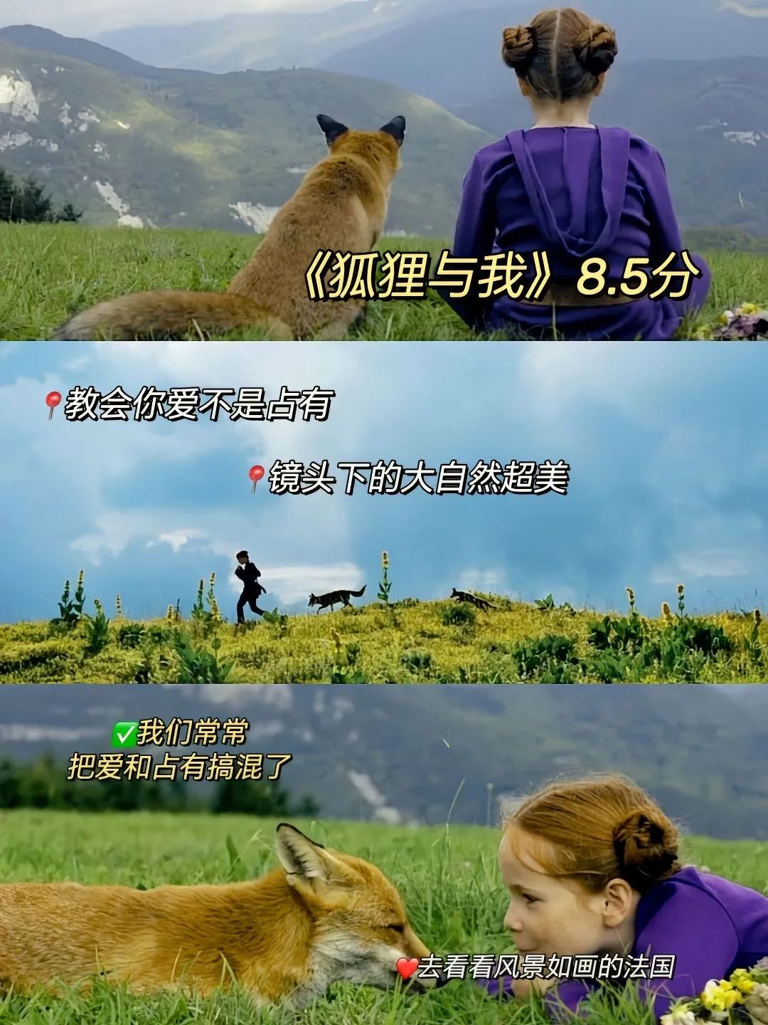 提升审美、治愈、适合所有女生的9部超级治愈