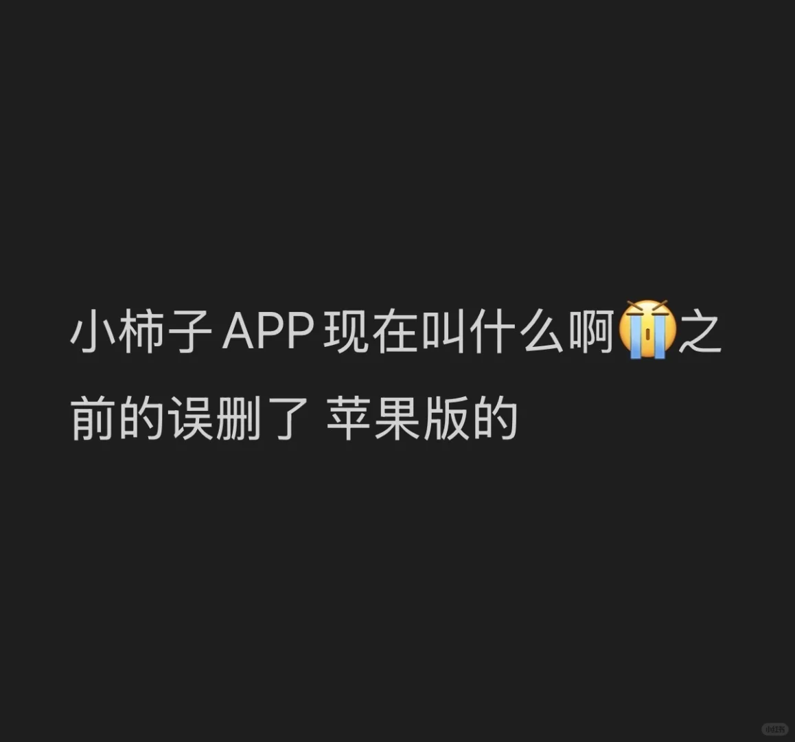 求求了 小柿子现在APP叫什么啊？？
