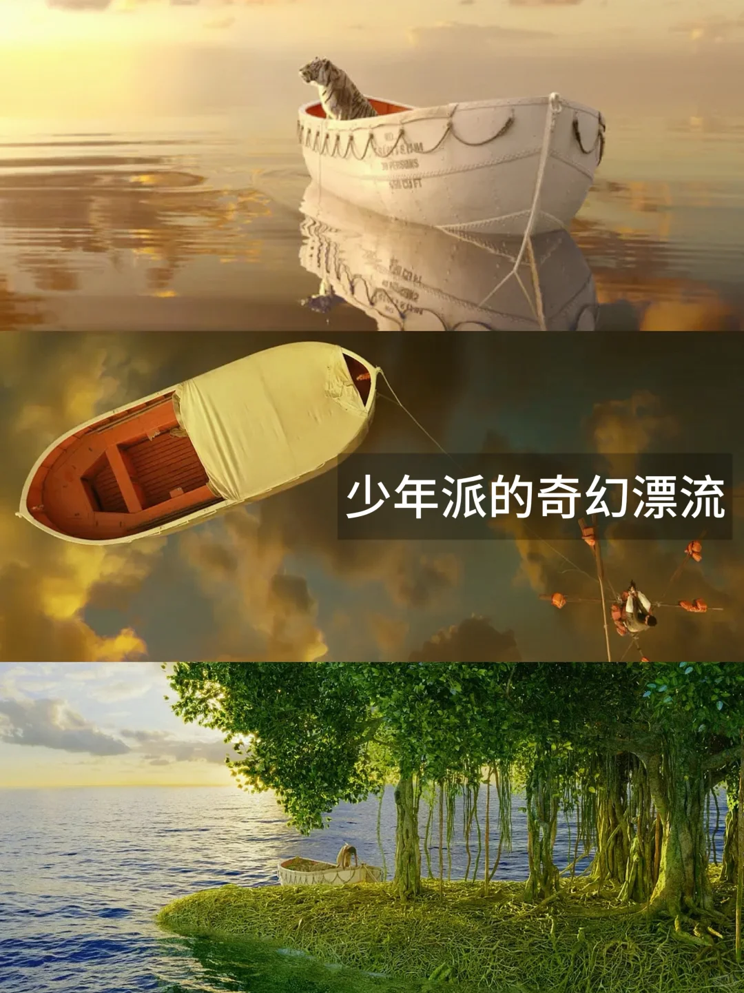 提高审美｜13部美学电影🎬第一部就是天花板