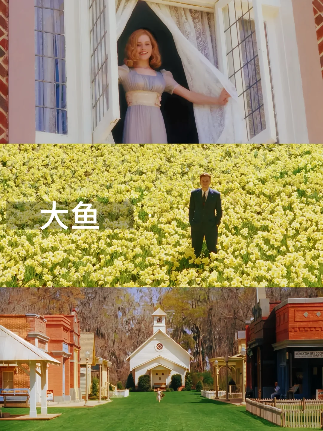 提高审美｜13部美学电影🎬第一部就是天花板