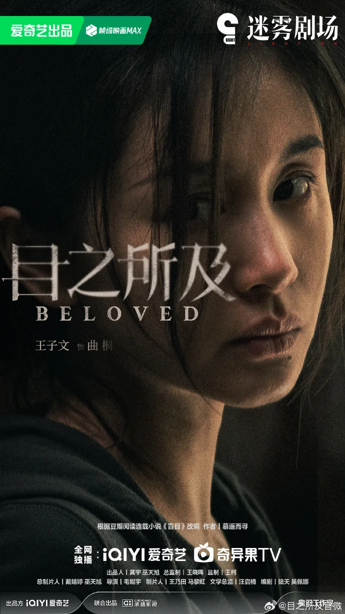 爱奇艺悬疑剧《目之所及》 暂定八月播出🍠