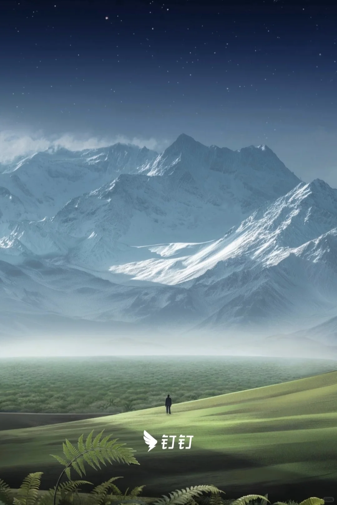 钉钉为什么要有开屏动画？！