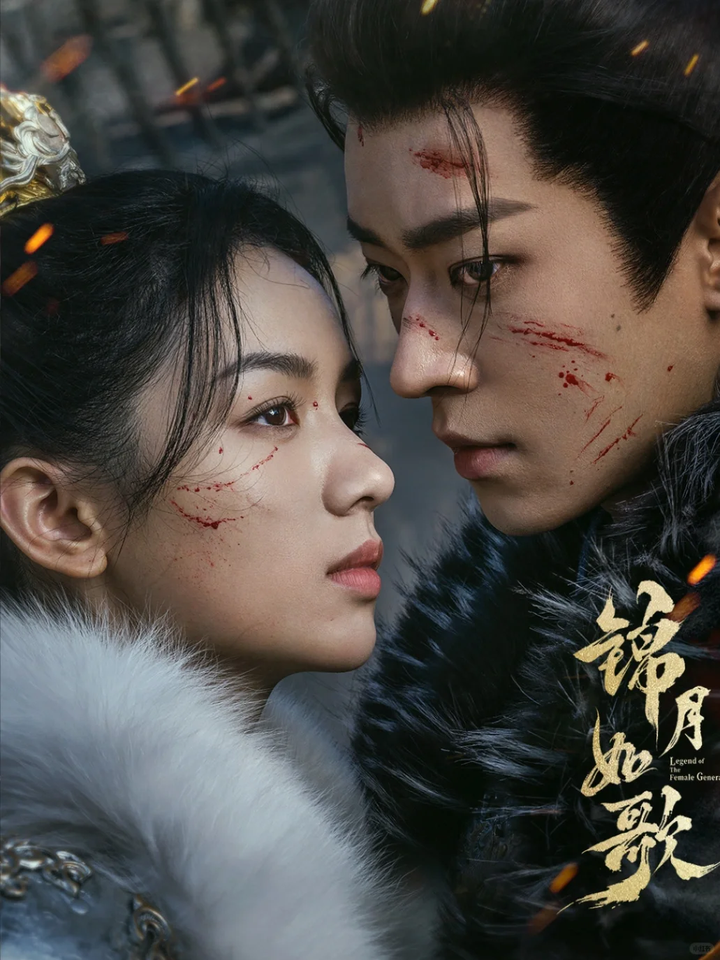 鲨疯了‼️四大平台👉新剧来袭➡️8月剧集更新