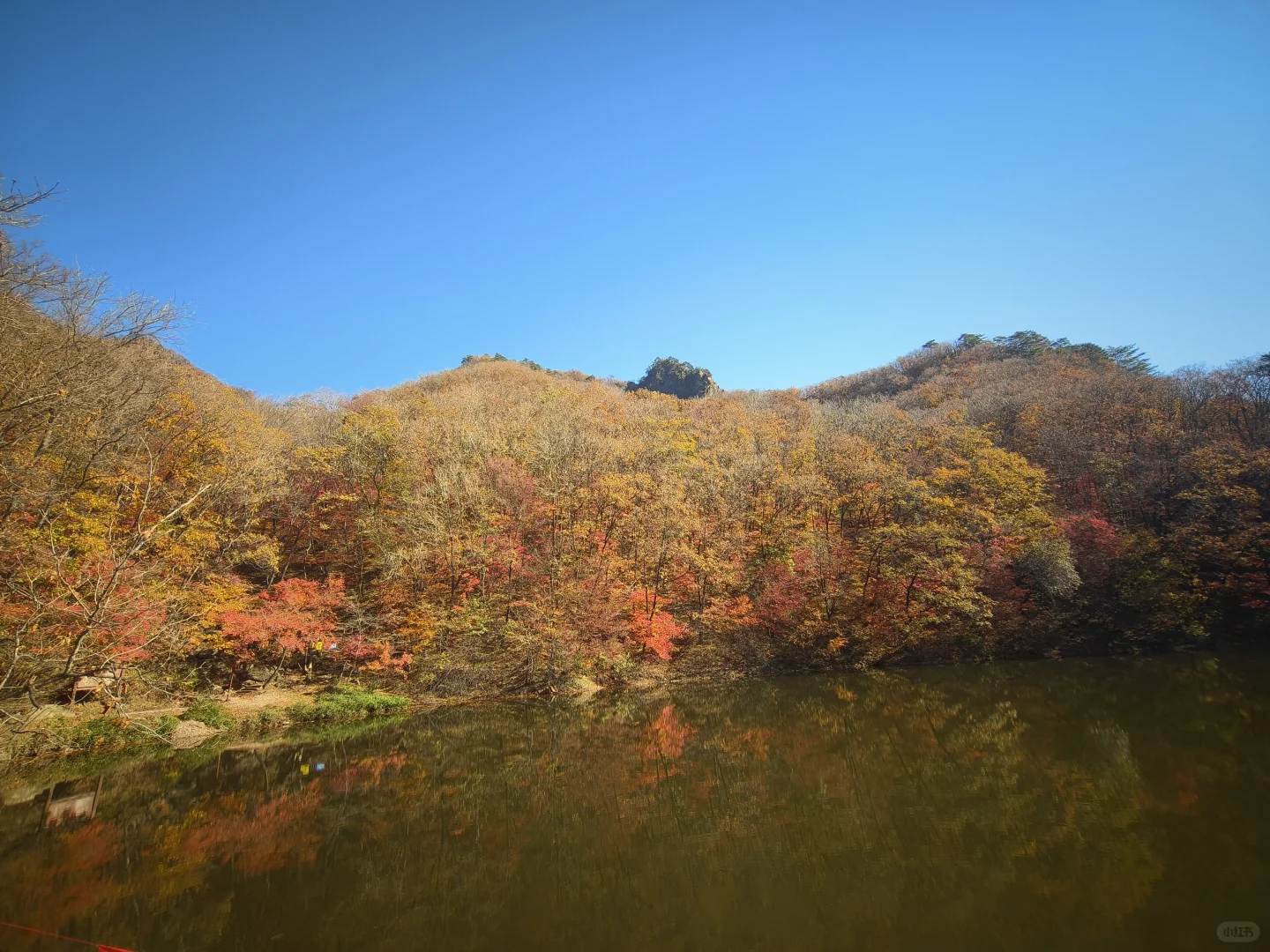 这个插件，让我开始享受生活的美好