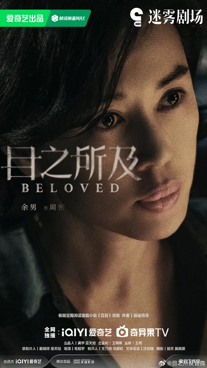 爱奇艺悬疑剧《目之所及》 暂定八月播出🍠