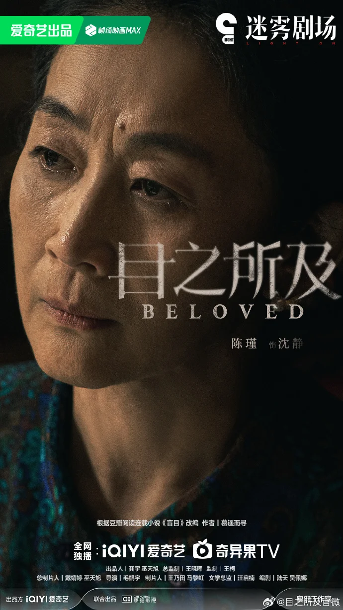 爱奇艺悬疑剧《目之所及》 暂定八月播出🍠