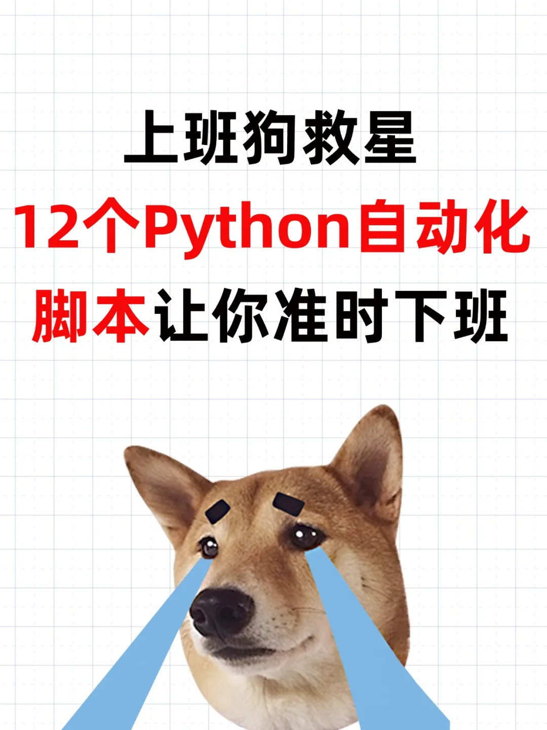 上班狗救星、12个Python自动化脚本正常下班