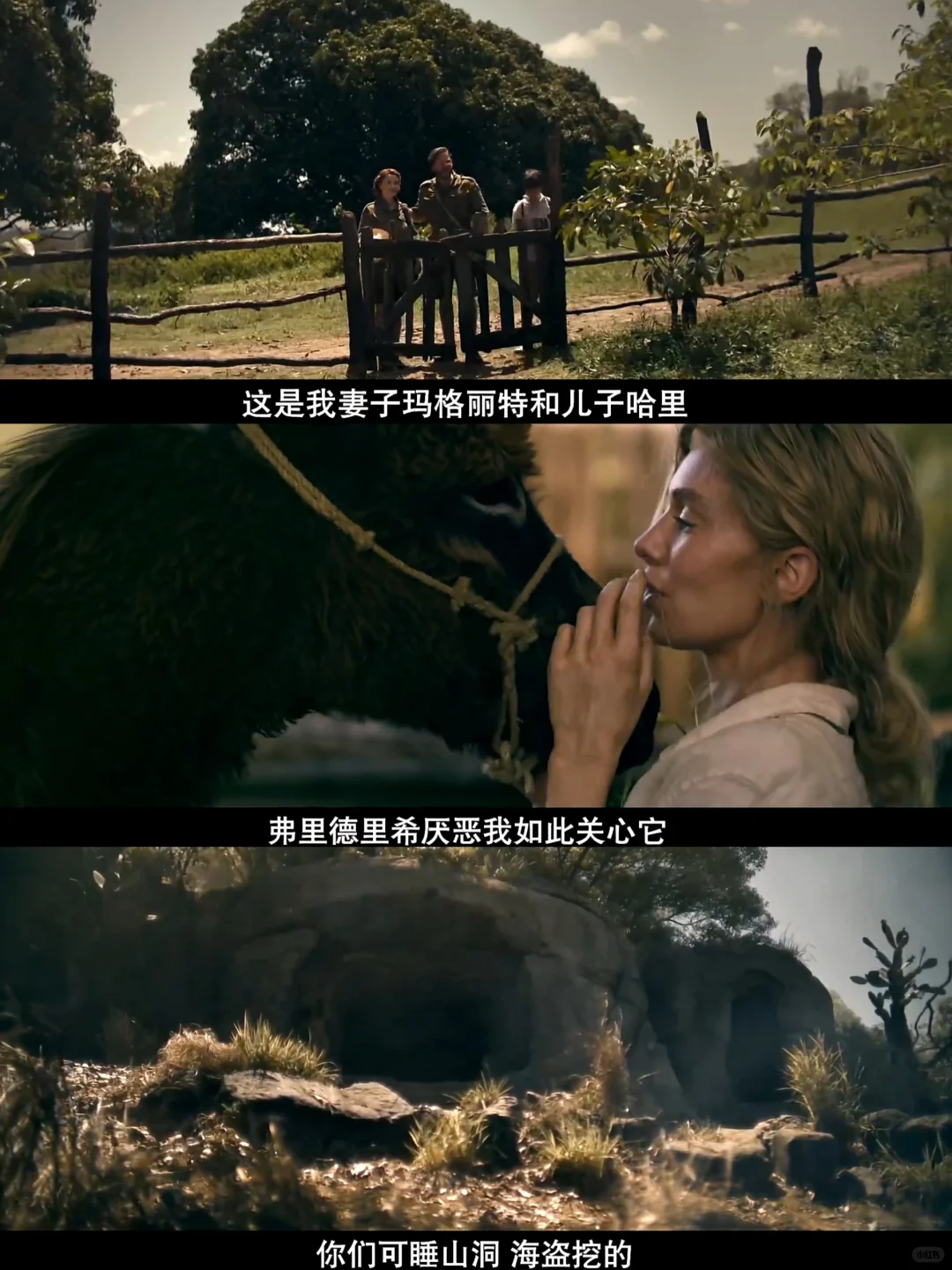 头皮发麻😱终于有电影撕开了女性生存本能