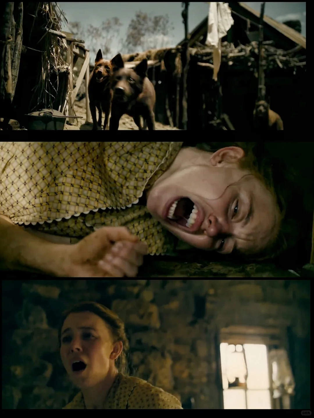 头皮发麻😱终于有电影撕开了女性生存本能