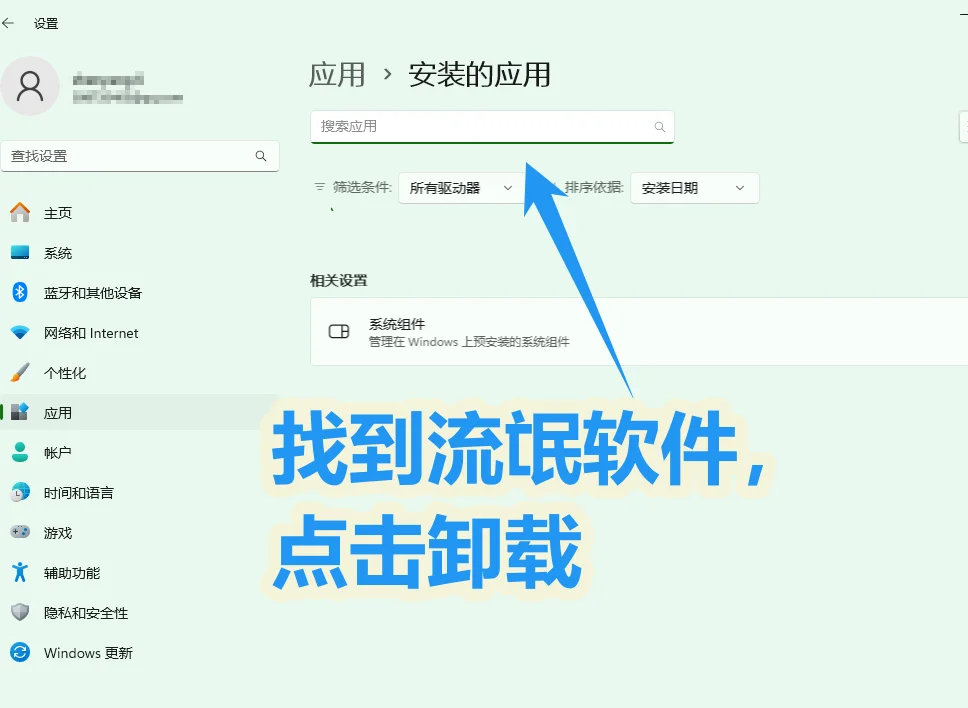 🌿卸载电脑流氓软件