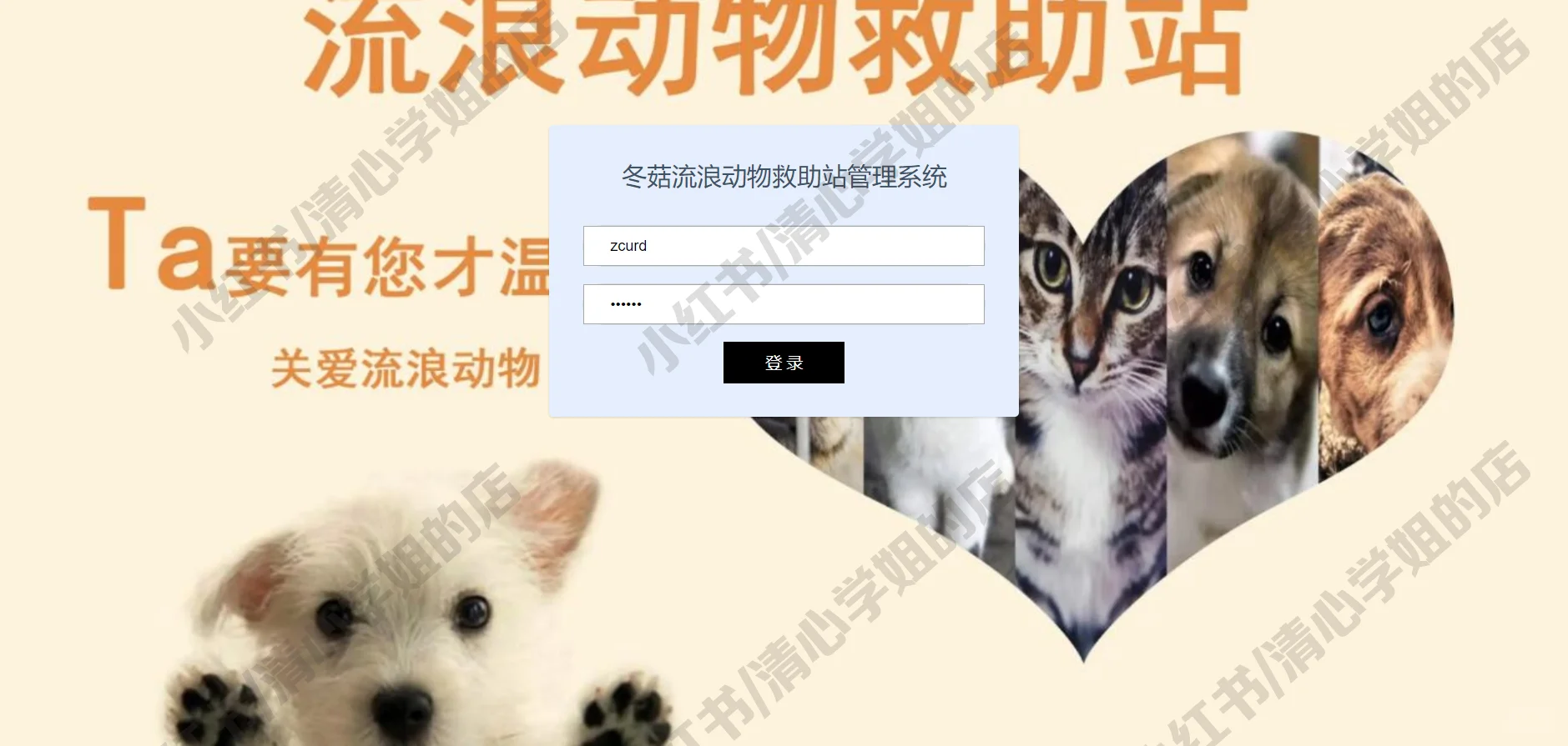 宠物领养系统Javaweb+springboot源码mysql