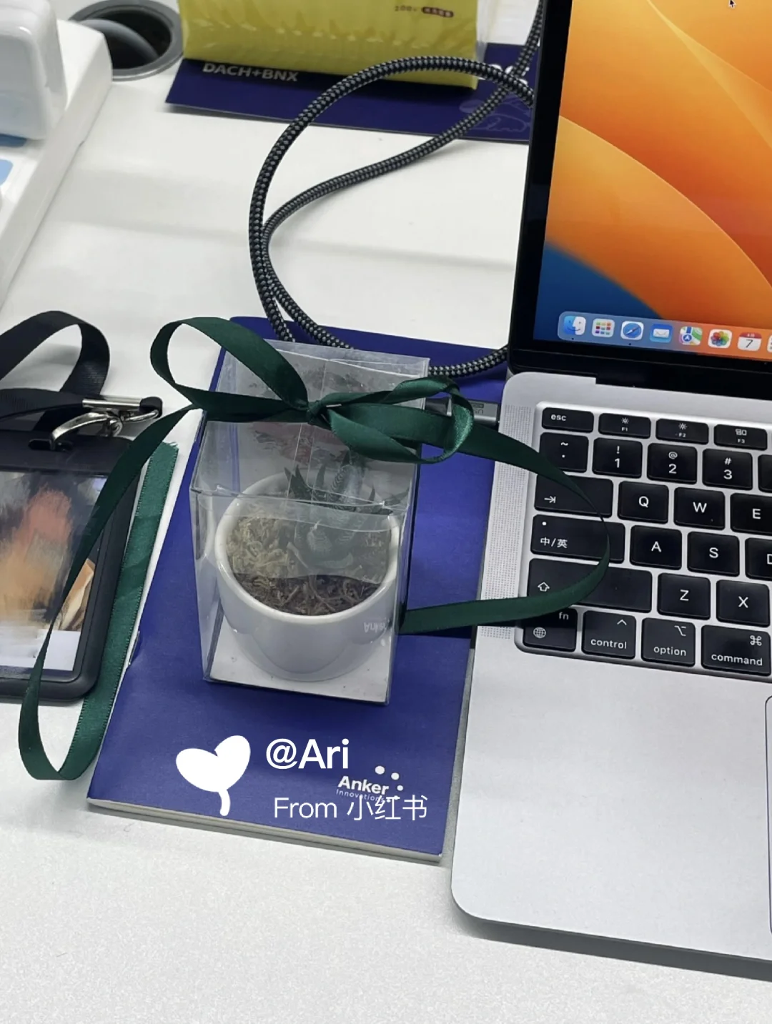 安克入职测试开发工程师~35k➕offer享受