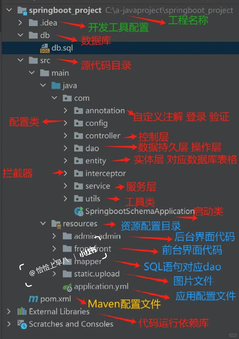 代码讲解 ｜Springboot 目录怎么看？