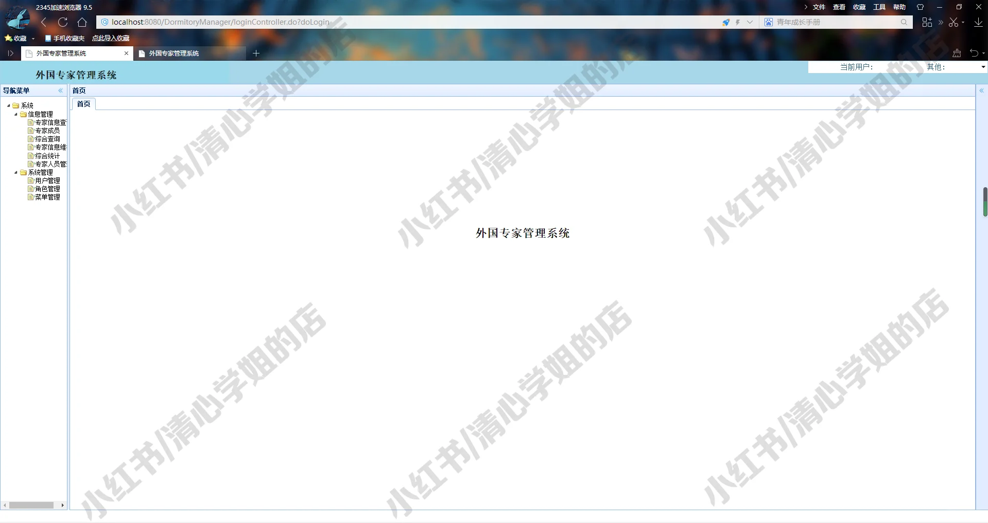 外籍专家档案管理系统ssm+javaweb源码MySQL