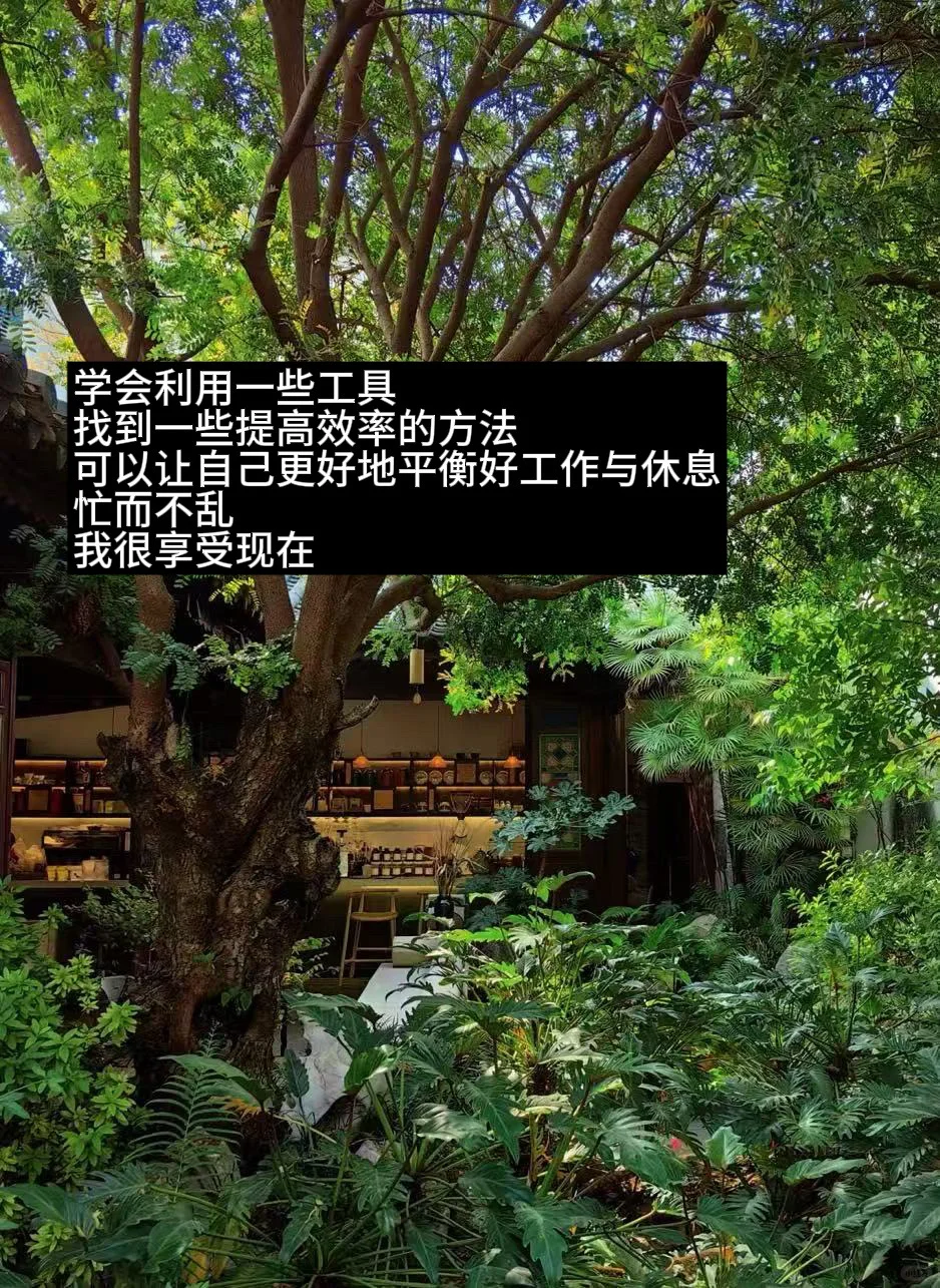 让高中历史课堂活起来！爱上学习是我的宿命