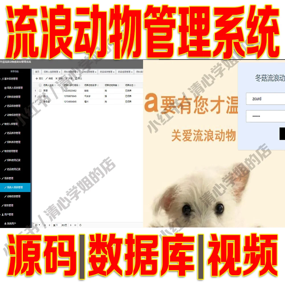 宠物领养系统Javaweb+springboot源码mysql