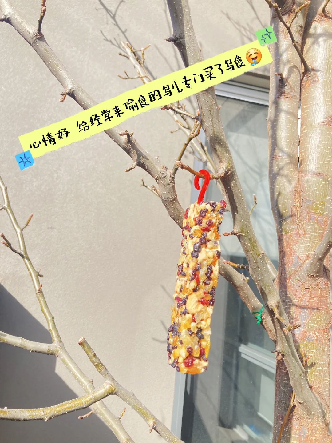 我用Trae做的iPhone手机App发布了😍