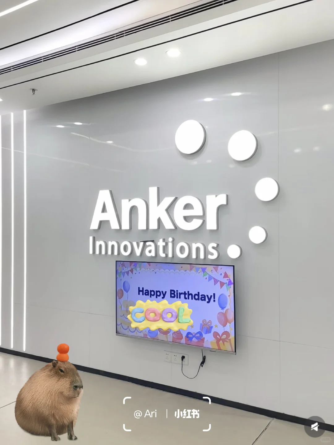 安克入职测试开发工程师~35k➕offer享受