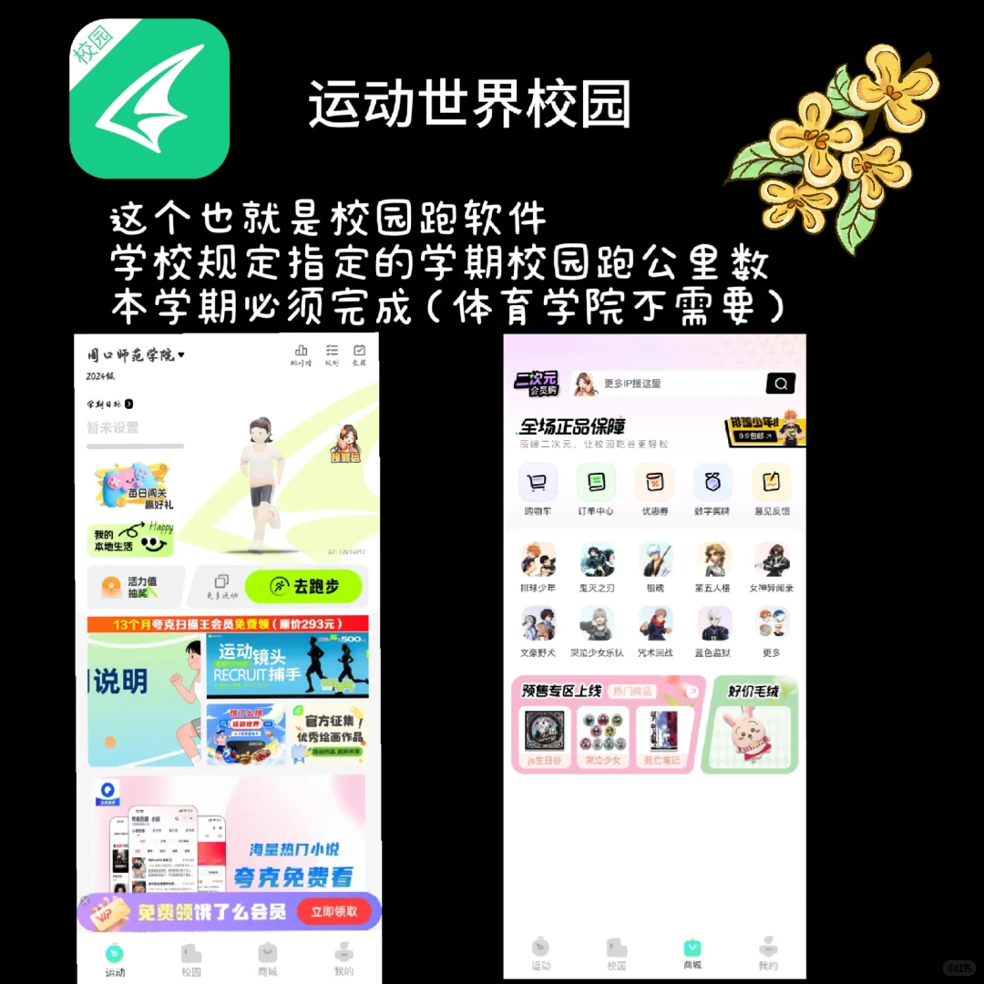 周师新生开学必备软件盘点❗❗