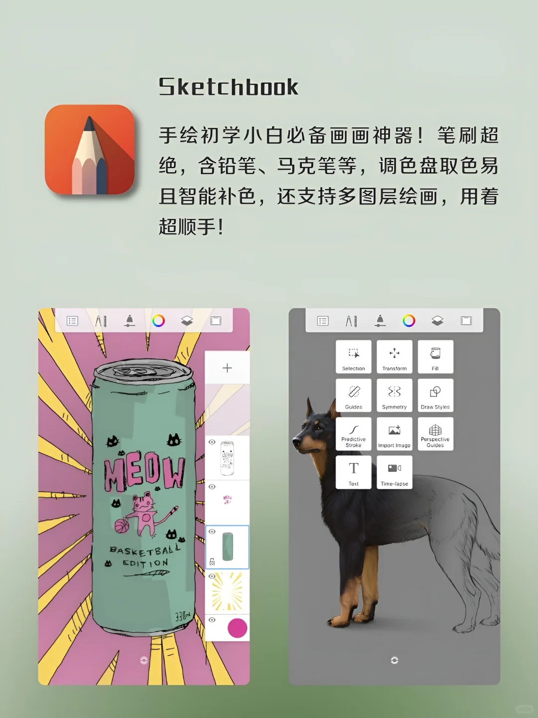 女生独处时可以用的6款APP‼️
