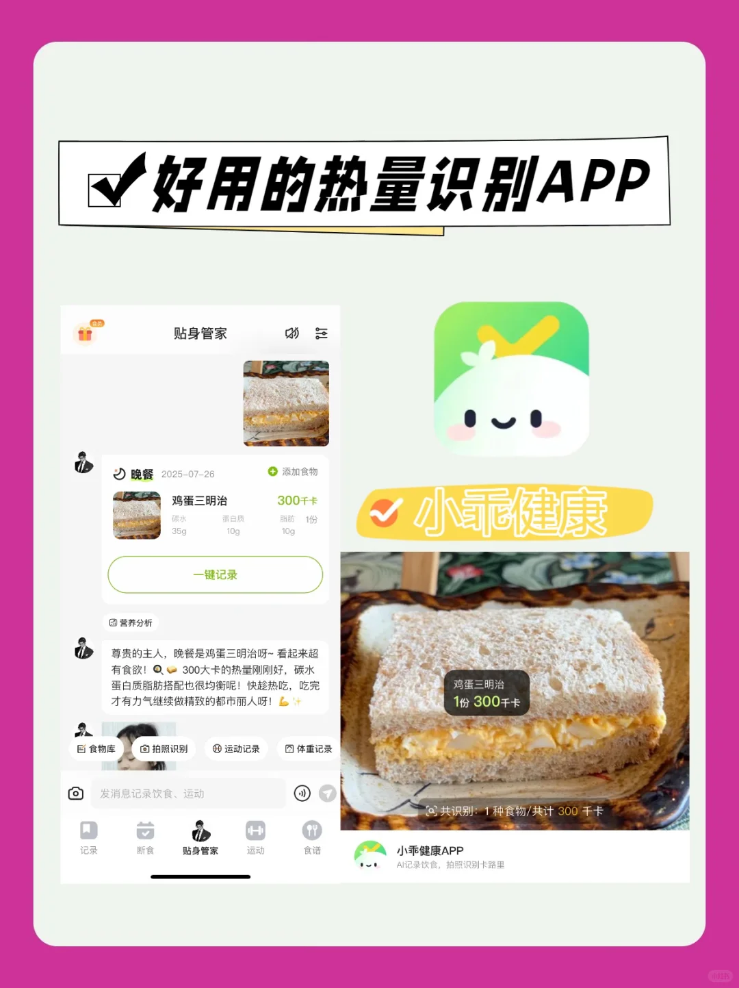 减肥APP测评:热量计算与饮食记录的优缺点
