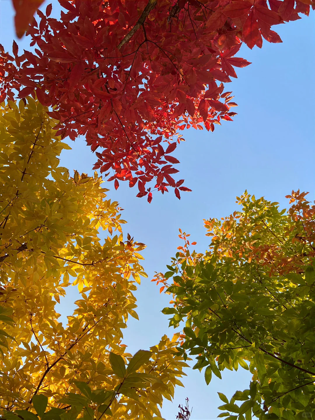 这些个招聘软件为什么要先选想干啥