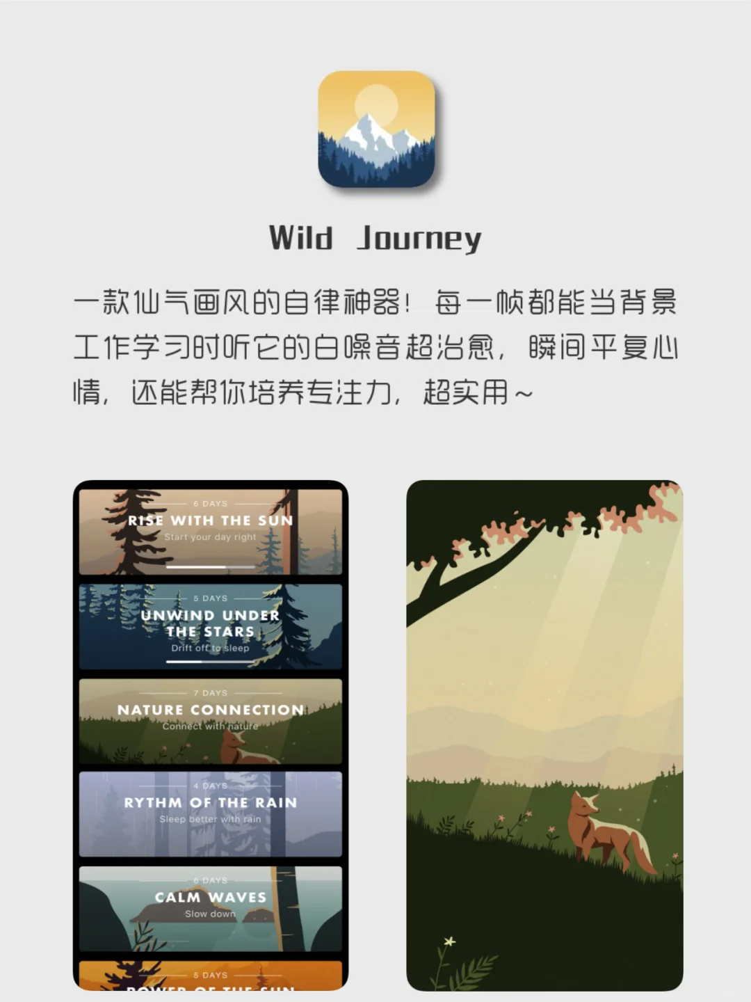 女生要有的APP❗️1%电量🔋也要拥有‼️