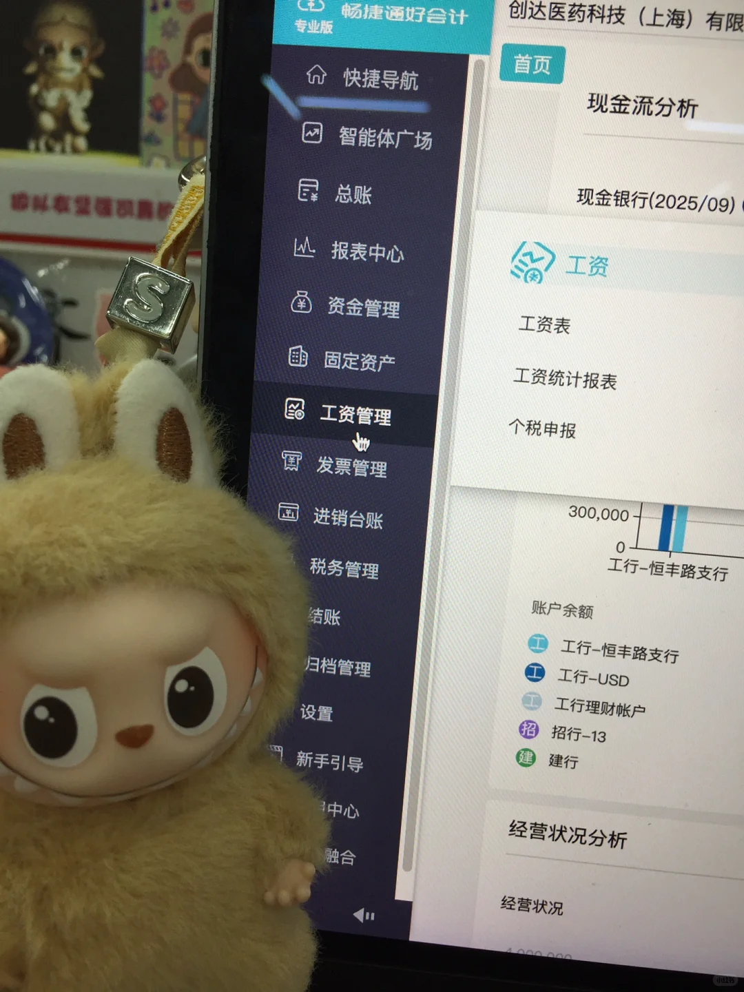 跟风入的财务软件 我来说说我的想法💡