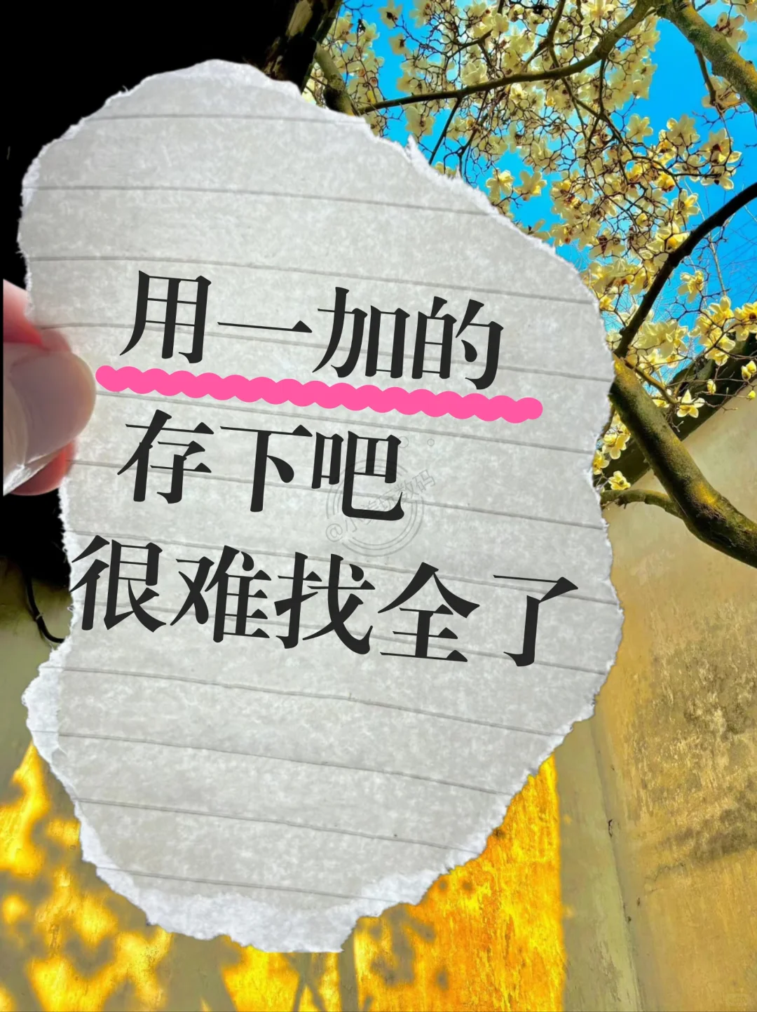 这3️⃣2️个一加的隐藏功能，你用过几个?