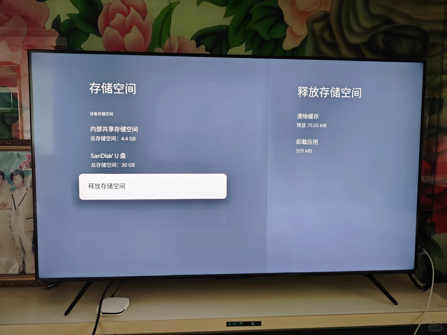 google TV 谷歌电视盒子扩展内存