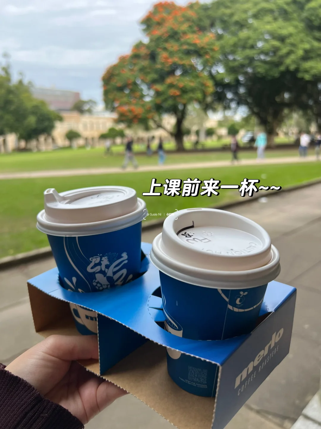 🇦🇺布村留子干饭日常➕新发现省米宝藏app