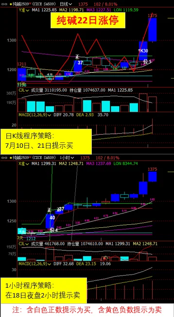 编程策略效果显著