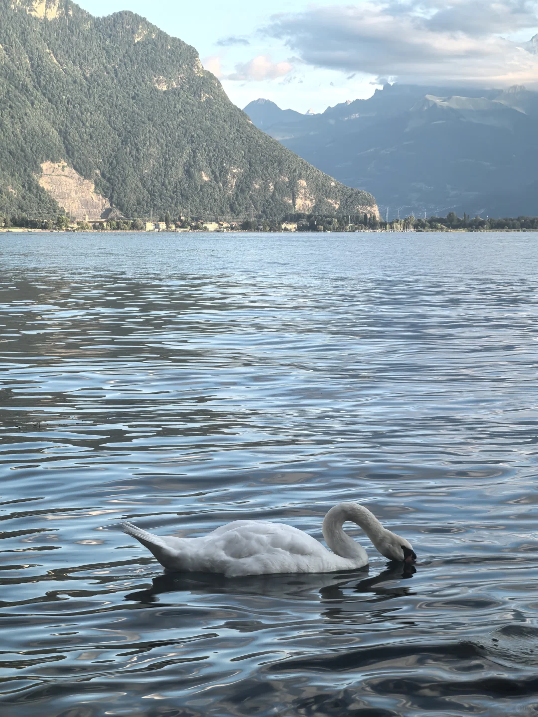 如何发掘下一个创新药？