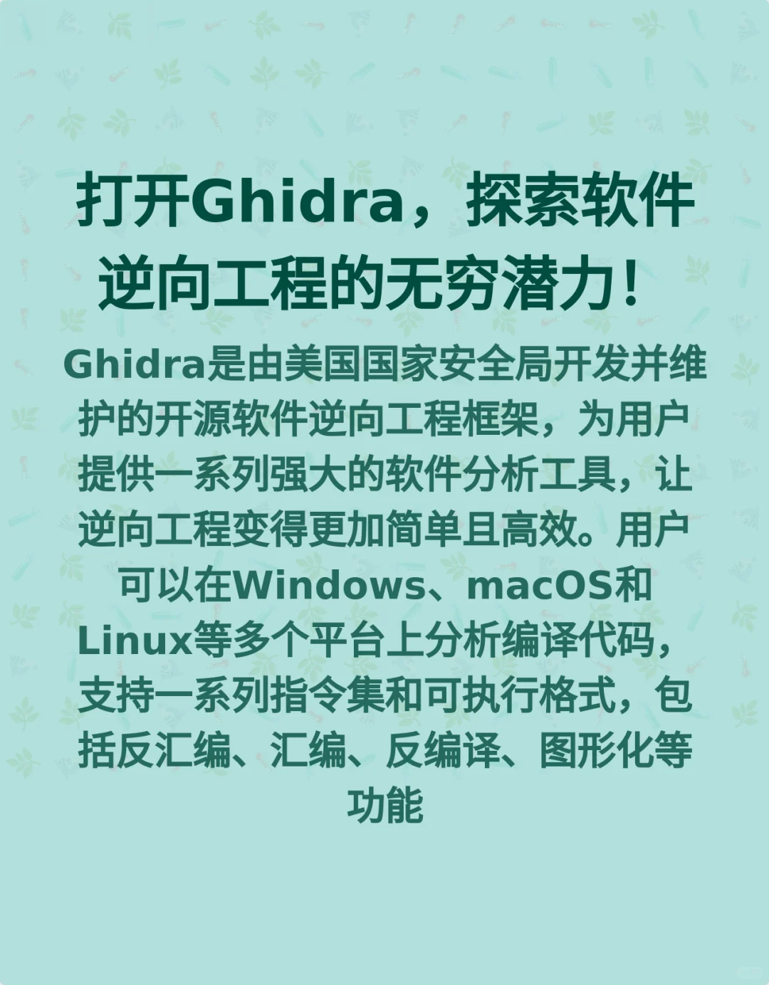 打开Ghidra,探索软件逆向工程的无