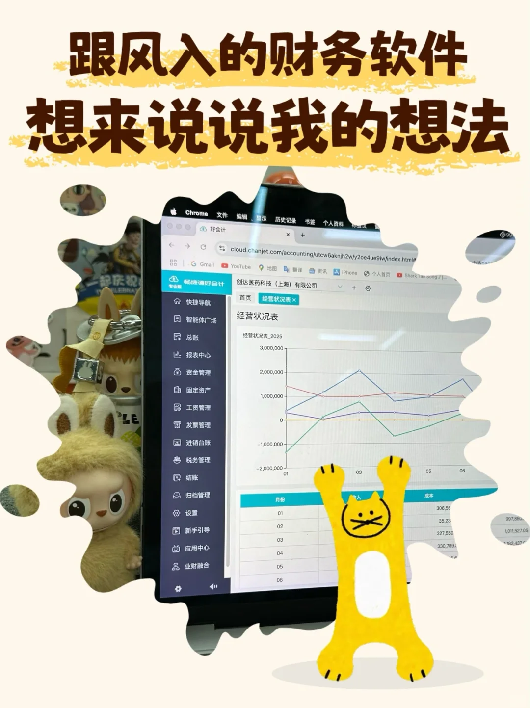 跟风入的财务软件 我来说说我的想法💡