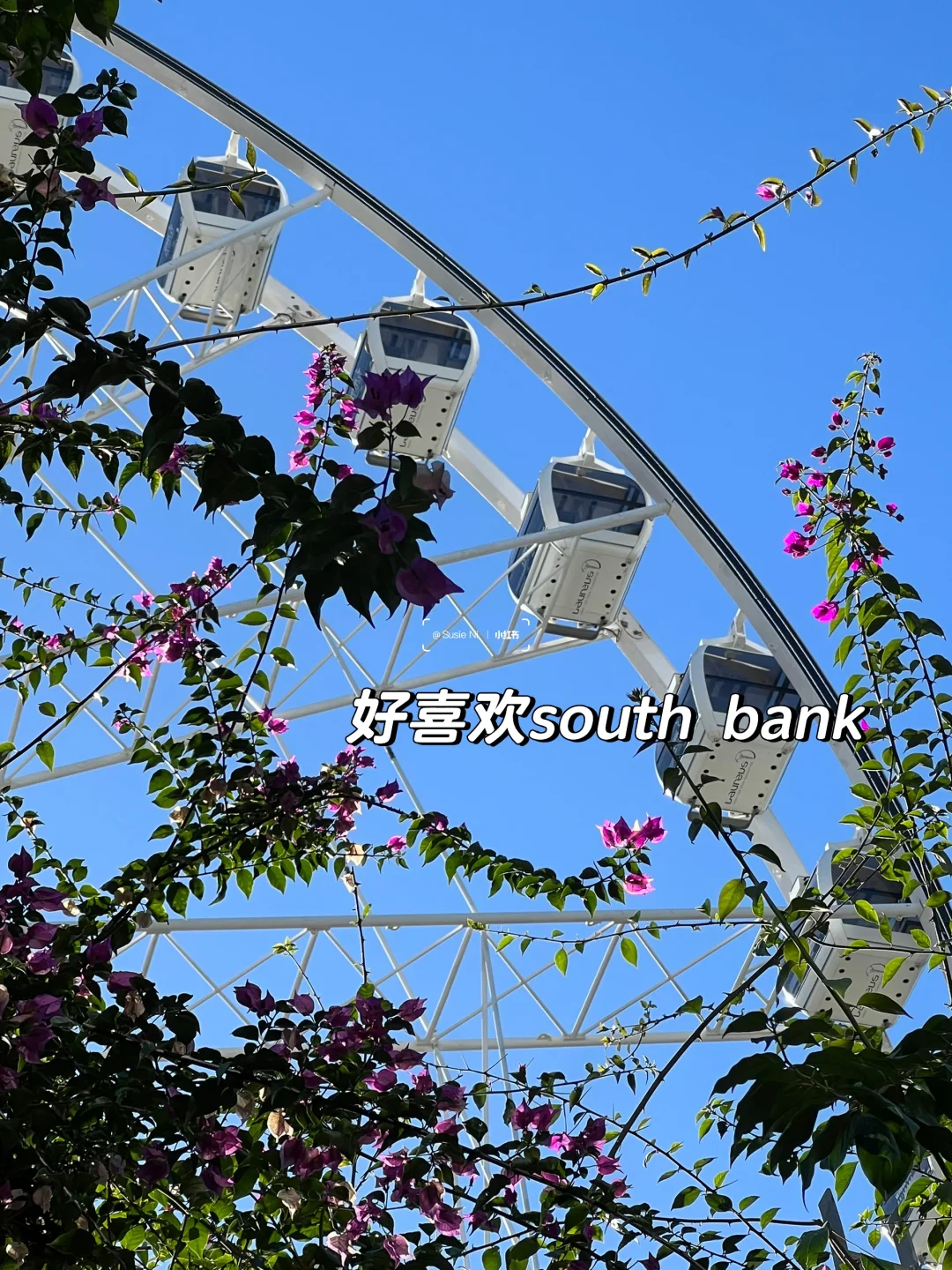 🇦🇺布村留子干饭日常➕新发现省米宝藏app