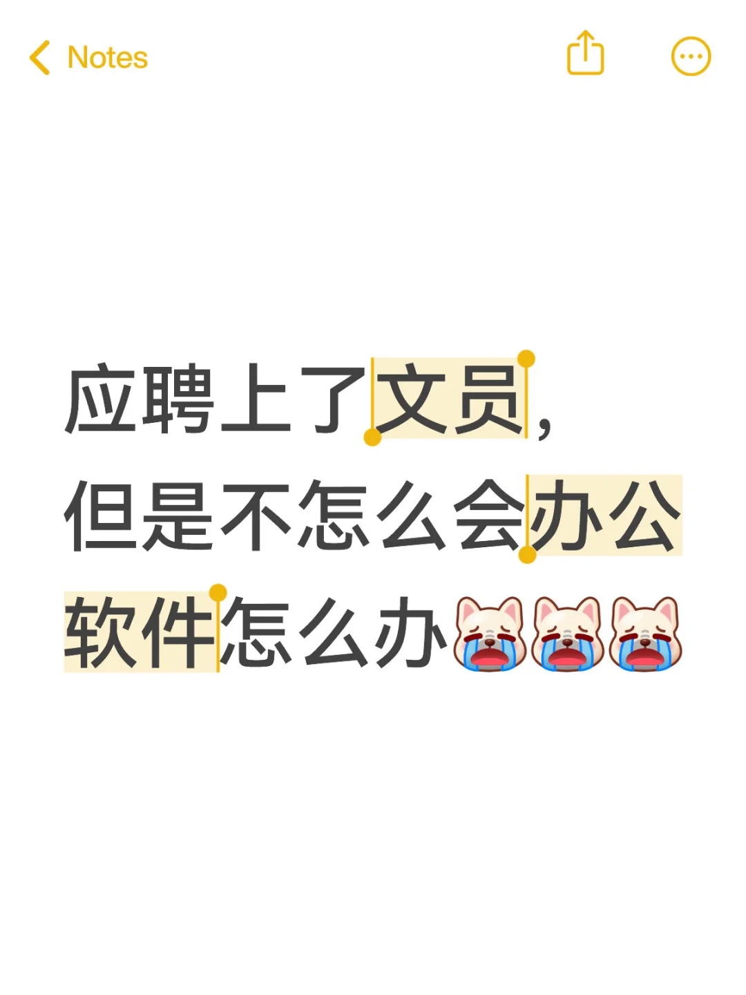 应聘上了文员，但是不会办公软件