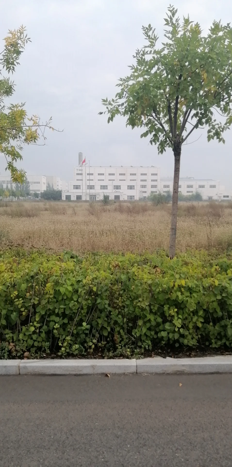 葫芦侠里面下载的软件靠谱吗？游戏有病毒吗