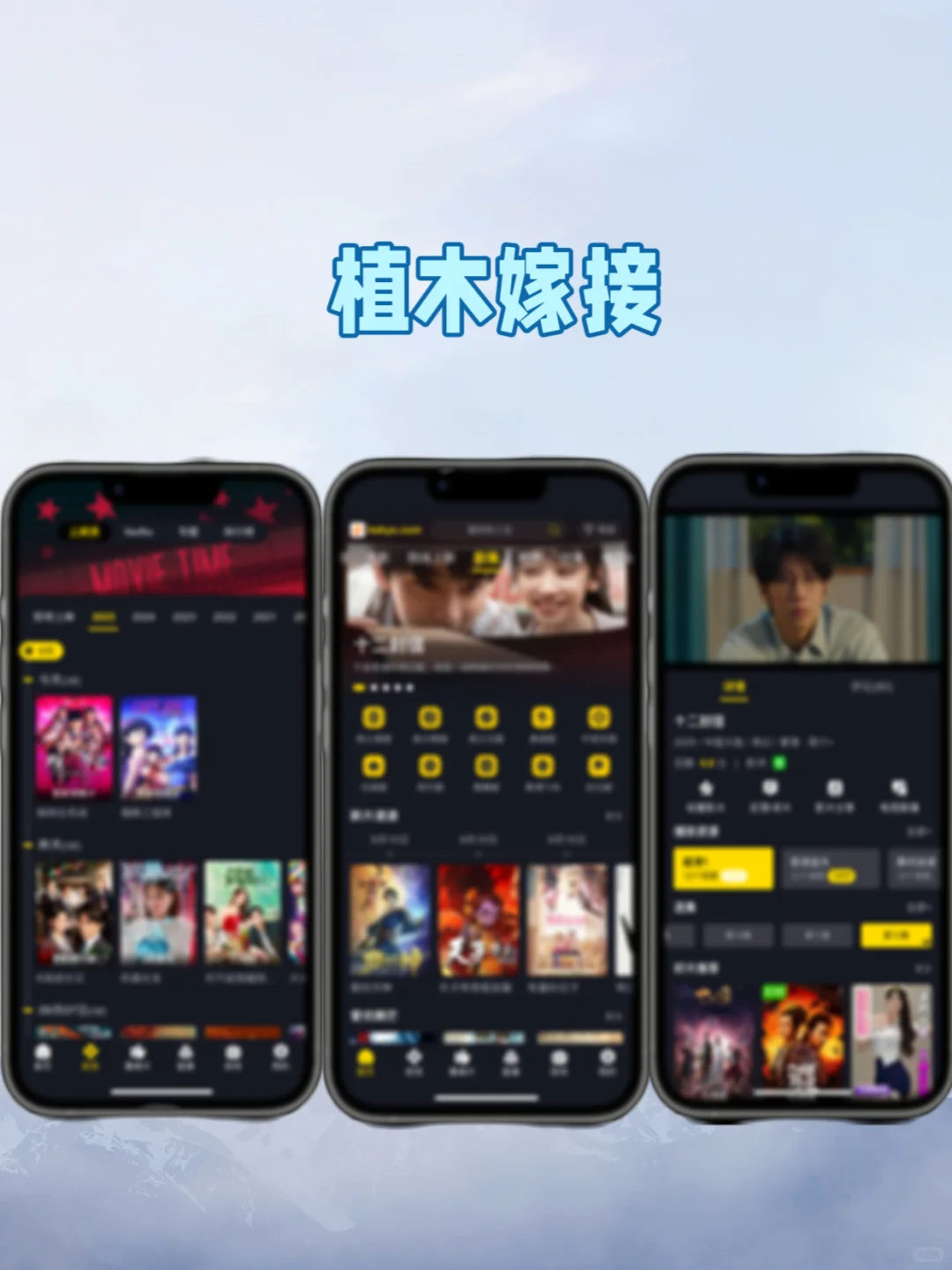 我找到了！iOS影视平替！