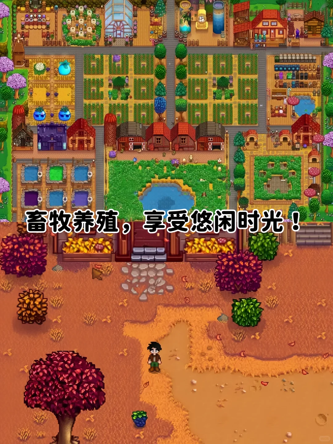 星露谷物语🔥支持安卓/ios/平板/无广🉑联机