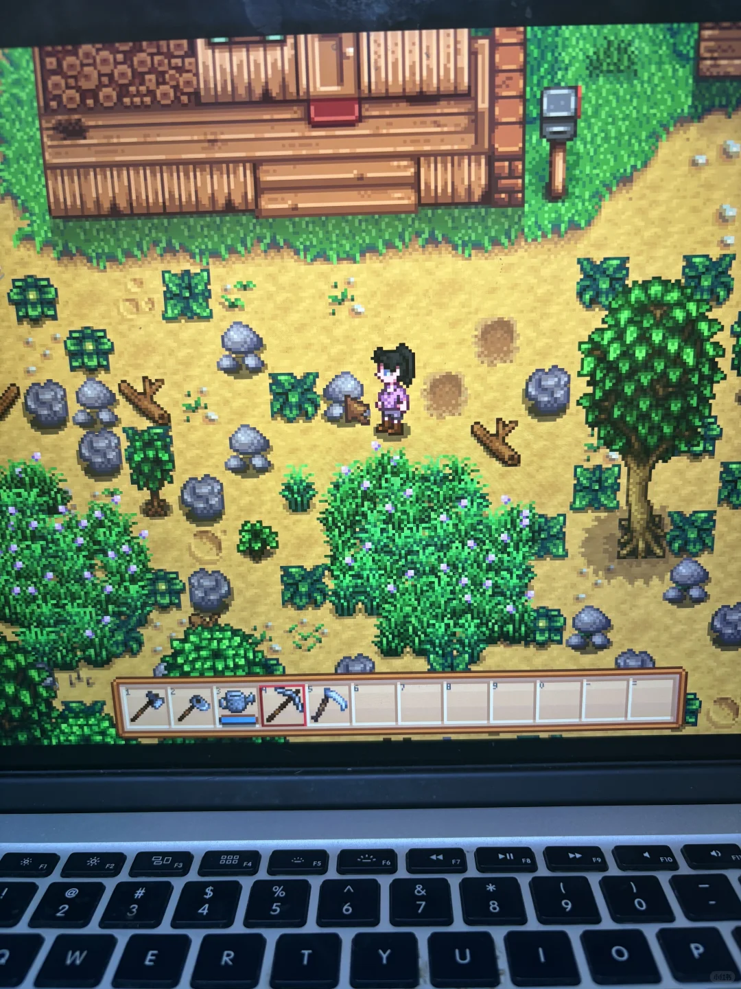 手机老乡成功下载星露谷喜极而泣