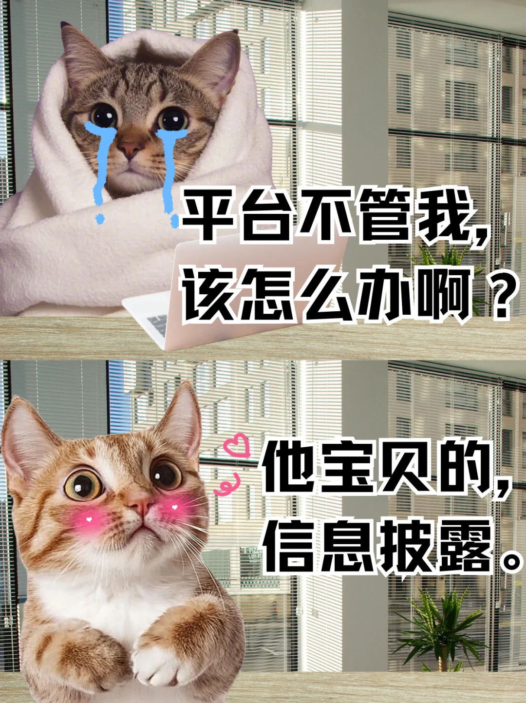 挂钩把我出租的号弄封了咋办啊?