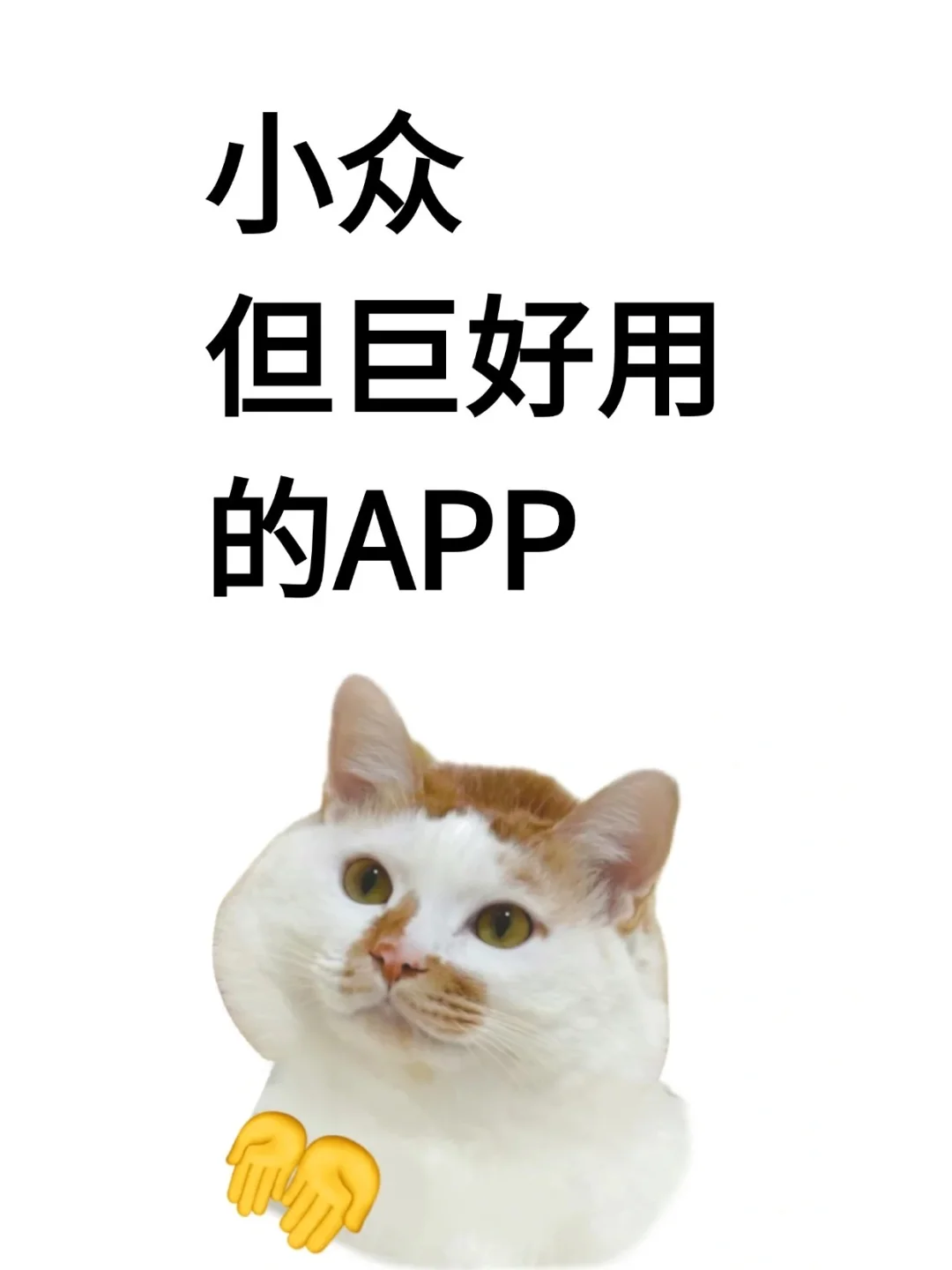 有没有小众好用的app ❓