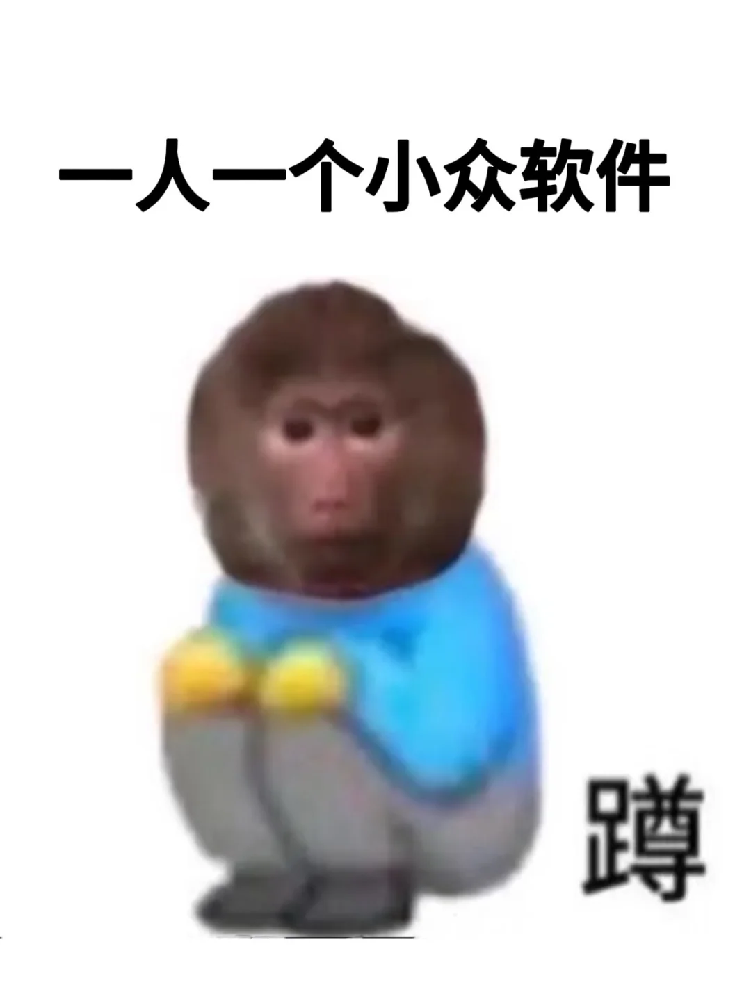 一人一个小众软件