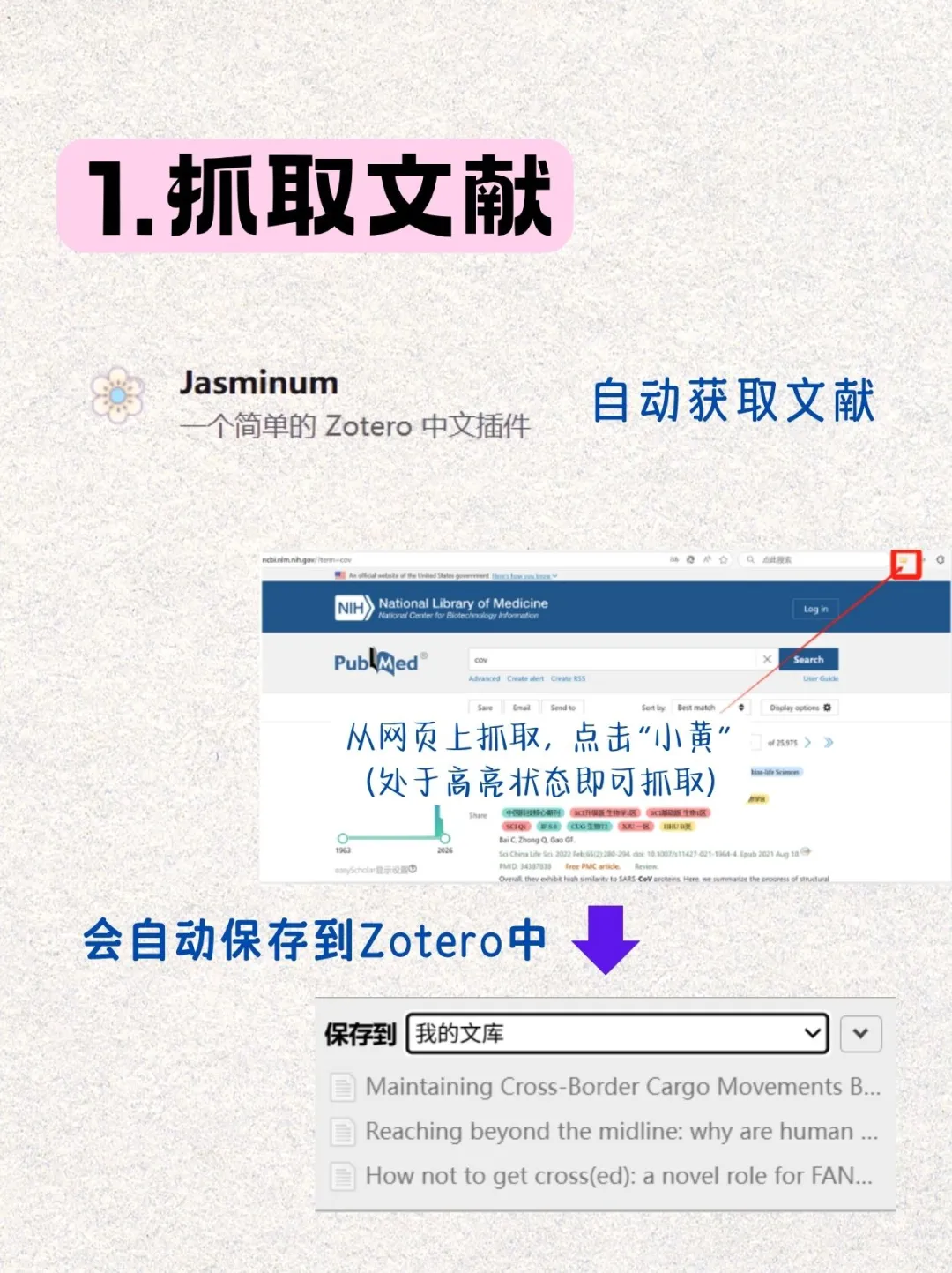 我c 服了 zotero插件这么绝