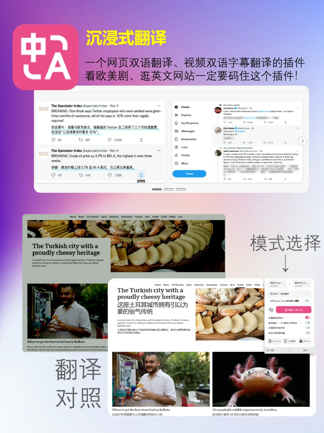 离谱❗浏览器4个顶级插件，居然有人没用过