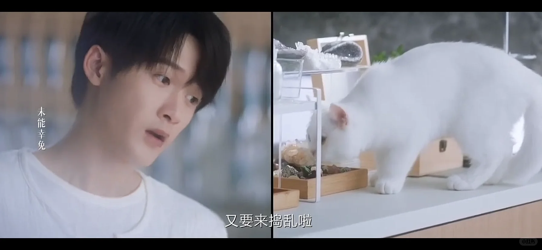 分享自用追剧神器，无敌好用‼️