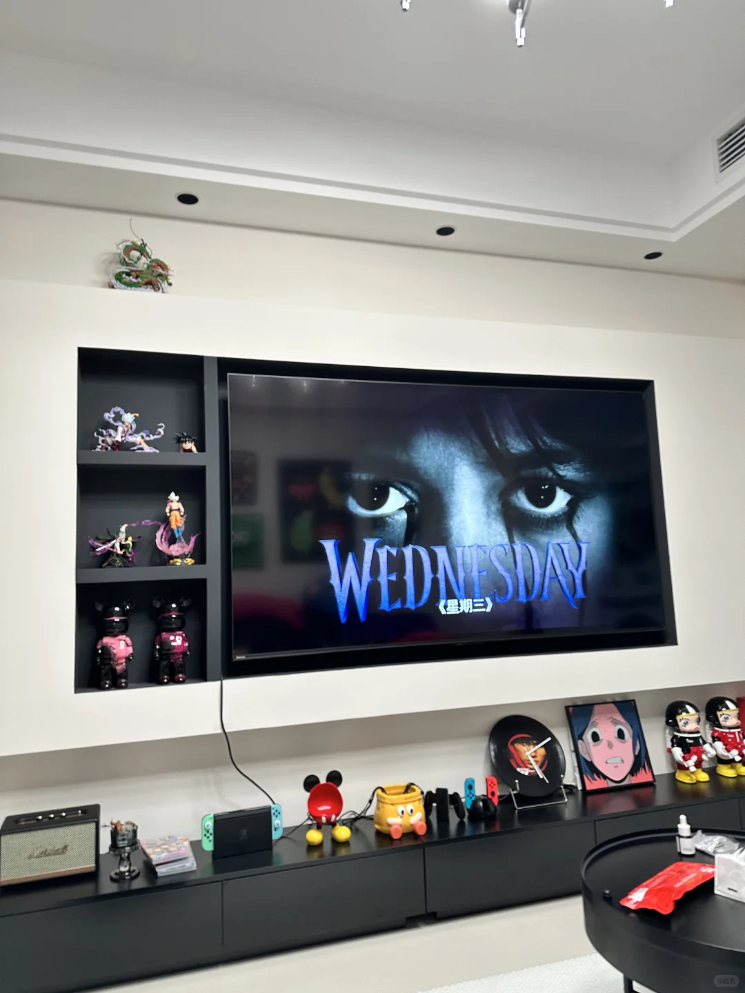 感谢野草助手，让我在电视上看到了星期三