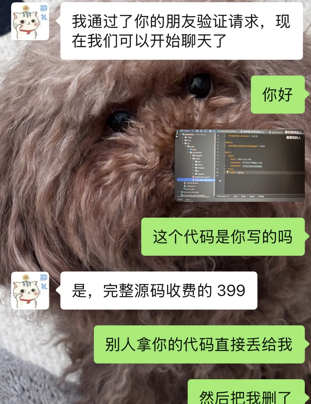 骗子啊啊啊恶心 大家一定别再私下了