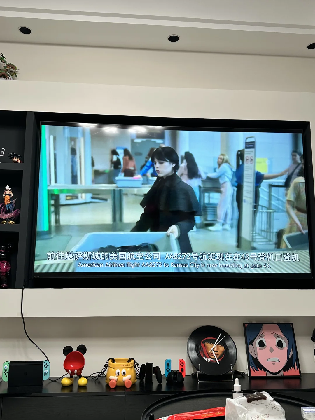 感谢野草助手，让我在电视上看到了星期三